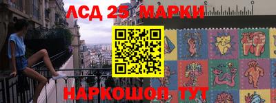 прущие грибы Будённовск