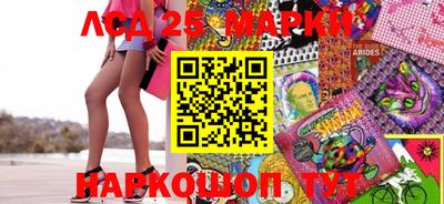 прущие грибы Будённовск