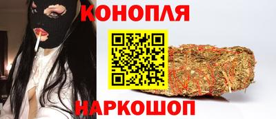 прущие грибы Будённовск