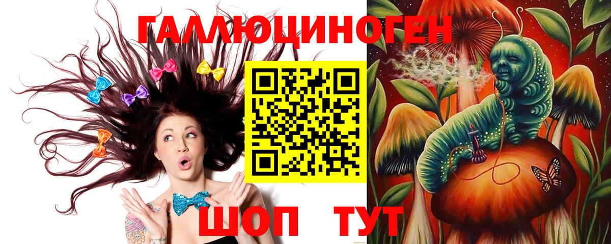 Галлюциногенные грибы Cubensis Коммунар